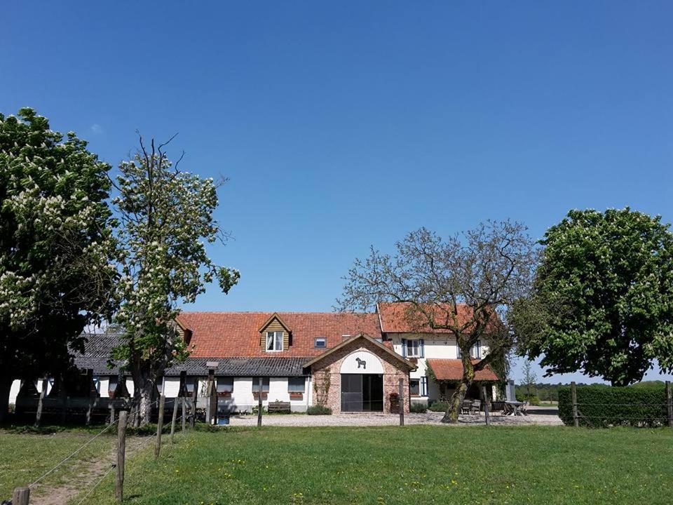 De Blauwe Maaten Neerglabbeek Exterior photo